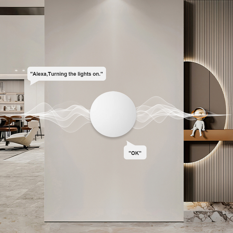 ZigBee スマートワイヤレスボタンシーンスイッチ Tuy - Tuya Smart のレビューと価格